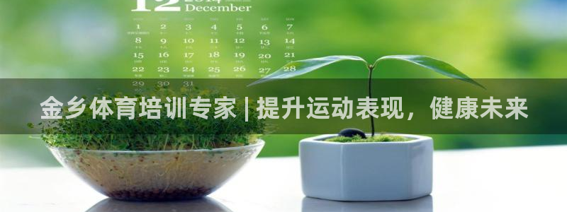 欧陆娱乐微信：金乡体育培训专家 | 提升运动表现，健
