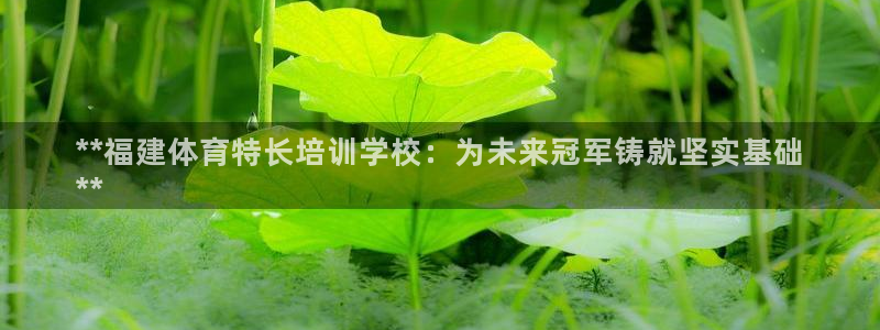 欧陆娱乐挂机怎么玩的：**福建体育特长培训学校：为未