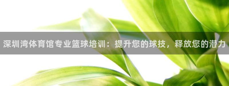 欧陆游戏平台：深圳湾体育馆专业篮球培训：提升您的球技