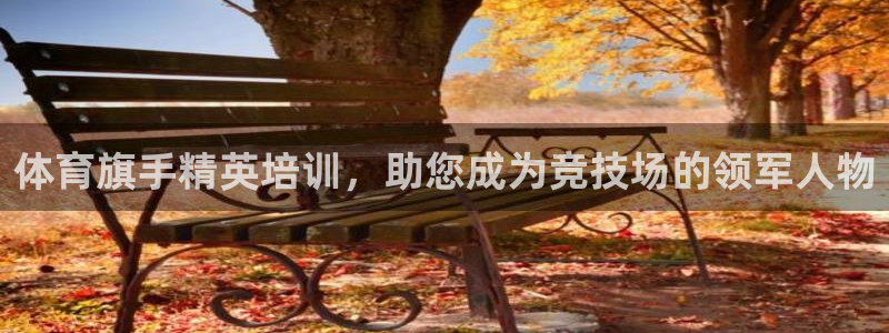 欧陆娱乐不让提现怎么办：体育旗手精英培训，助您成为竞