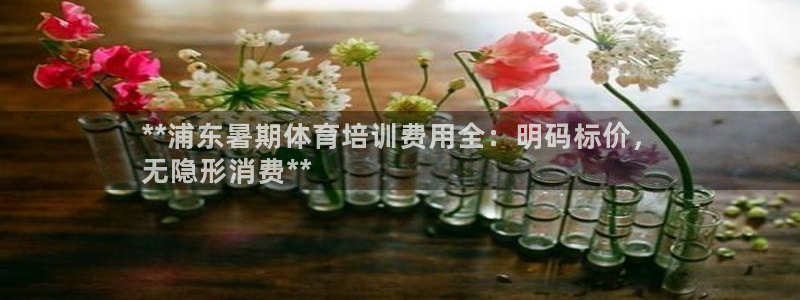 欧陆娱乐app下载安装：**浦东暑期体育培训费用全：