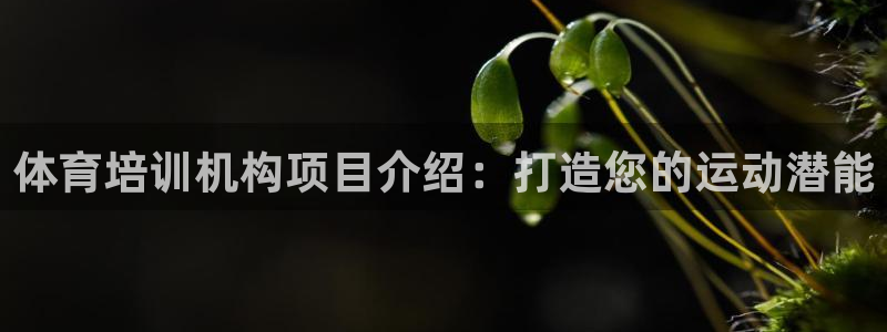 欧陆娱乐怎么注册帐号：体育培训机构项目介绍：打造您的