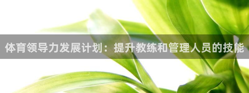 欧陆娱乐平台咋样赚钱快：体育领导力发展计划：提升教练