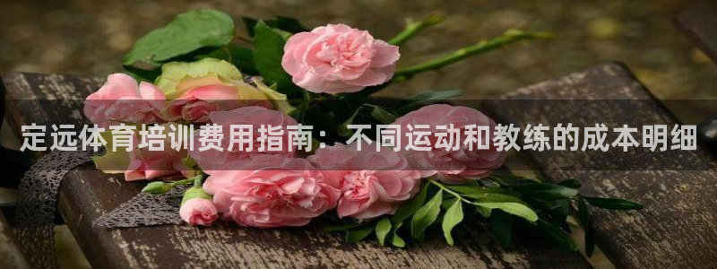 欧陆娱乐能赚钱吗现在：定远体育培训费用指南：不同运动