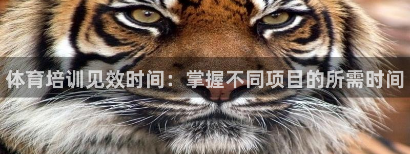 欧陆娱乐推广奖金多少：体育培训见效时间：掌握不同项目