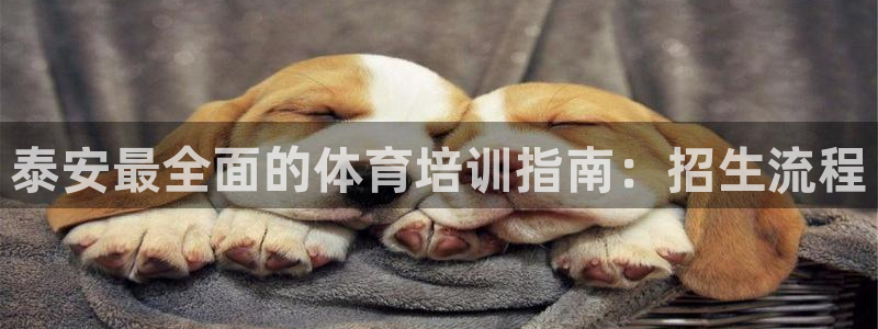 欧陆娱乐app打不开怎么回事视频：泰安最全面的体育培