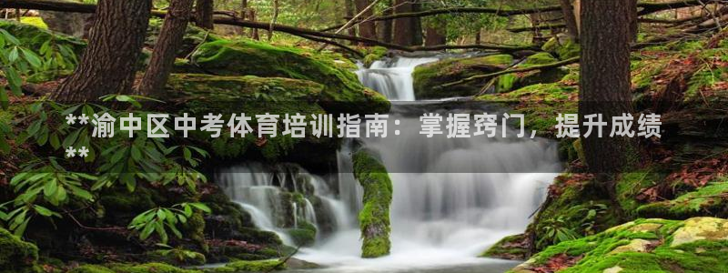 欧陆娱乐注册代理多少钱啊：**渝中区中考体育培训指南