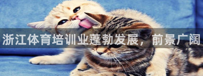 欧陆娱乐计划预测软件下载：浙江体育培训业蓬勃发展，前