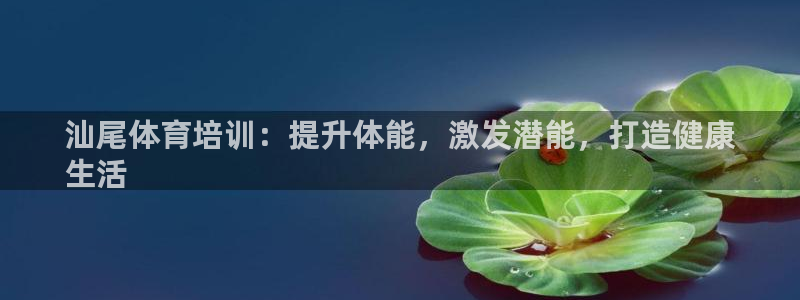 欧陆娱乐总代理电话：汕尾体育培训：提升体能，激发潜能