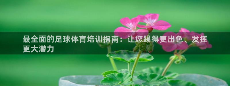 欧陆娱乐客服服务：最全面的足球体育培训指南：让您踢得