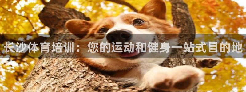 欧陆娱乐累计盈利多少就会被劝退呢：长沙体育培训：您的