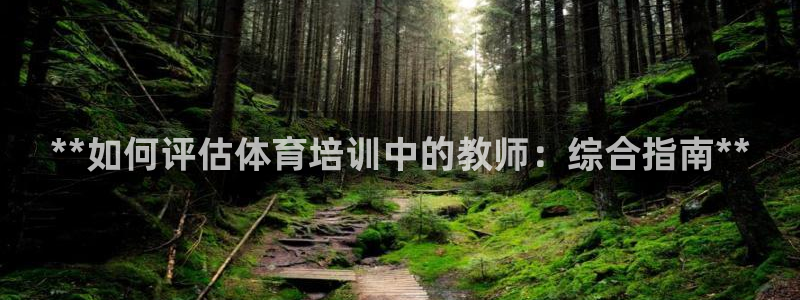 欧陆娱乐挂机怎么玩游戏：**如何评估体育培训中的教师