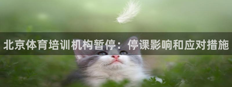 欧陆娱乐简介：北京体育培训机构暂停：停课影响和应对措