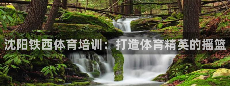 欧陆娱乐系统教程：沈阳铁西体育培训：打造体育精英的摇