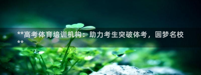 欧陆娱乐平台登陆地址是什么：**高考体育培训机构：助