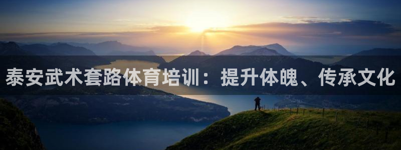 欧陆娱乐app下载安装：泰安武术套路体育培训：提升体