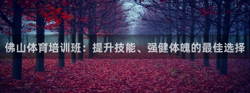 欧陆娱乐注册代理多少钱啊：佛山体育培训班：提升技能、