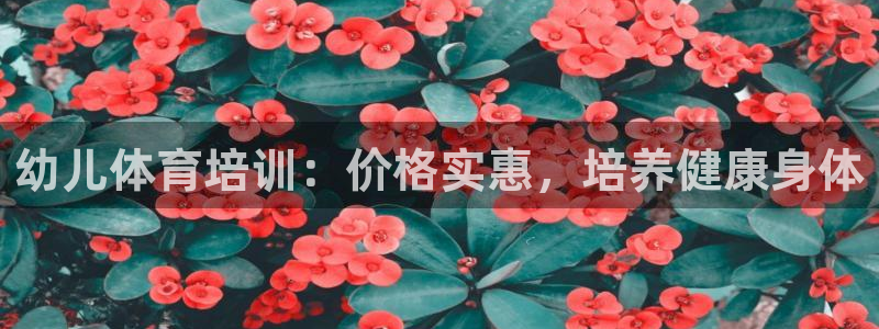 欧陆娱乐客服服务怎么样：幼儿体育培训：价格实惠，培养