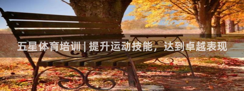 欧陆娱乐怎么注册账号啊：五星体育培训 | 提升运动技