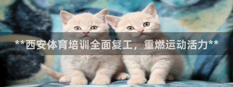 欧陆娱乐能不能玩手游：**西安体育培训全面复工，重燃