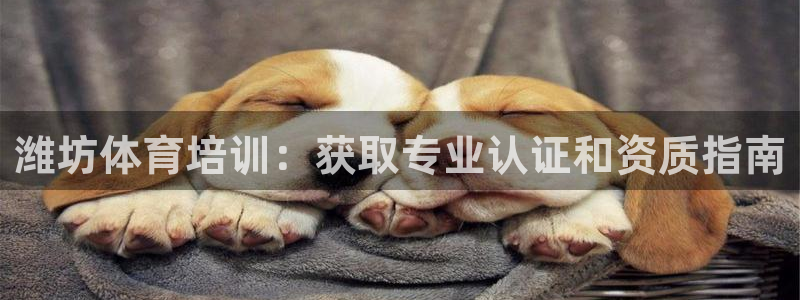 欧陆娱乐代理多少个点位：潍坊体育培训：获取专业认证和