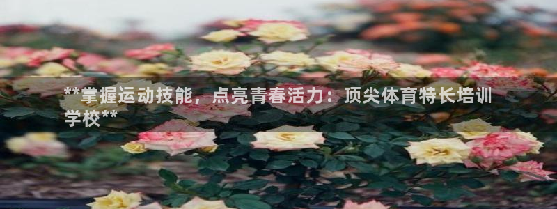 欧陆娱乐登录平台：**掌握运动技能，点亮青春活力：顶