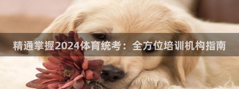 欧陆娱乐代理 贴吧是真的吗：精通掌握2024体育统考