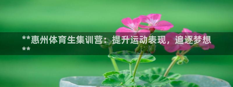 欧陆娱乐是正规平台吗安全吗知乎推荐：**惠州体育生集