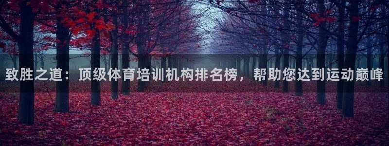 欧陆娱乐怎么样：致胜之道：顶级体育培训机构排名榜，帮