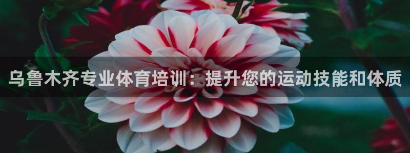 欧陆娱乐百科：乌鲁木齐专业体育培训：提升您的运动技能