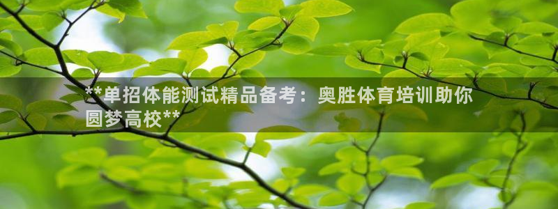 欧陆娱乐招商主管：**单招体能测试精品备考：奥胜体育