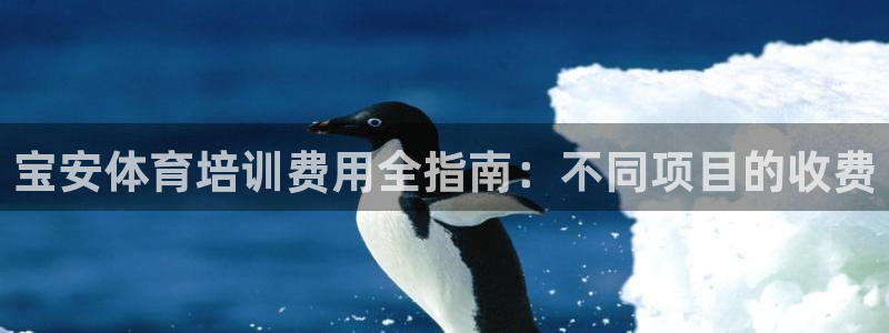 欧陆娱乐登陆平台：宝安体育培训费用全指南：不同项目的