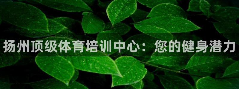 欧陆娱乐官网网址是什么：扬州顶级体育培训中心：您的健