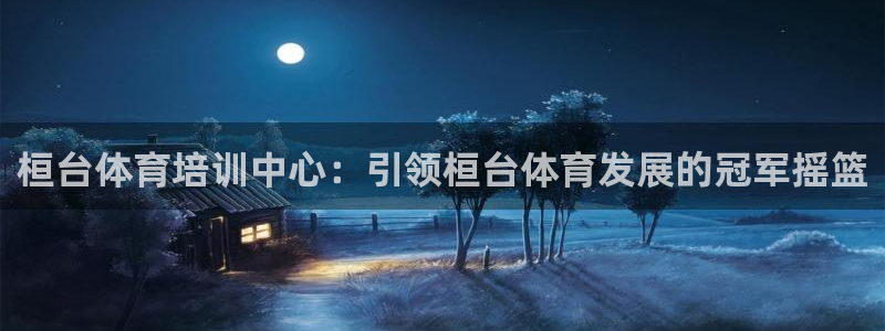 欧陆娱乐计划预测软件下载：桓台体育培训中心：引领桓台