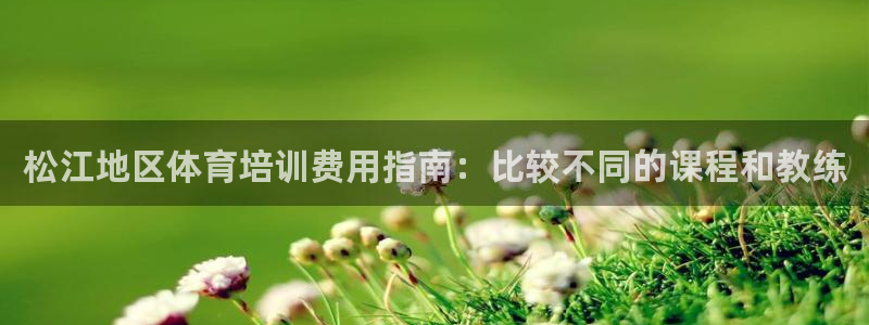 欧陆娱乐挂机项目怎么设置：松江地区体育培训费用指南：