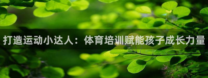 欧陆娱乐平台登录不上去怎么办