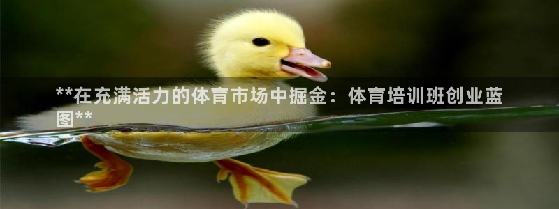 欧陆娱乐官方：**在充满活力的体育市场中掘金：体育培