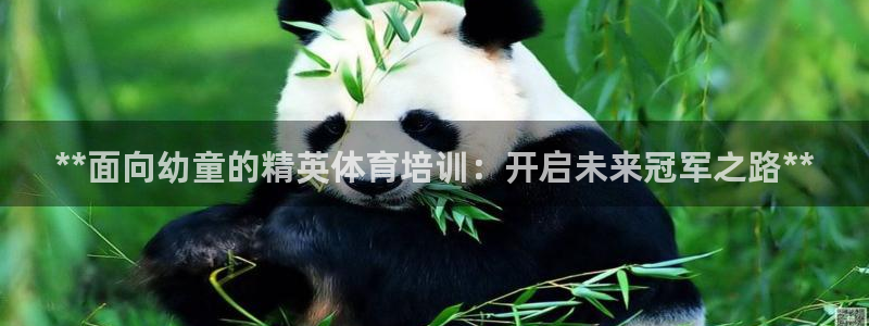 欧陆娱乐计划预测软件有哪些：**面向幼童的精英体育培