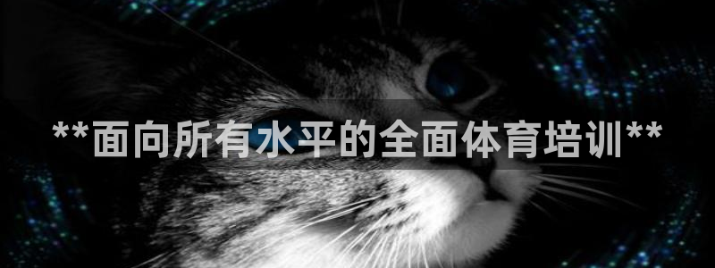 欧陆娱乐公司产品介绍：**面向所有水平的全面体育培训