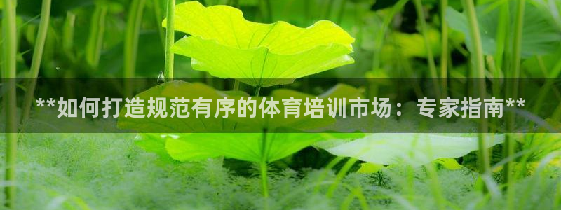 欧陆娱乐可以退钱吗安全吗：**如何打造规范有序的体育