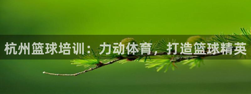 欧陆娱乐平台咋样赚钱的：杭州篮球培训：力动体育，打造