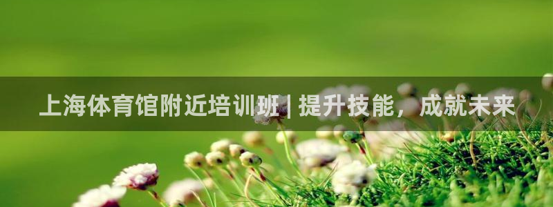 欧陆娱乐平台总代理：上海体育馆附近培训班 | 提升技