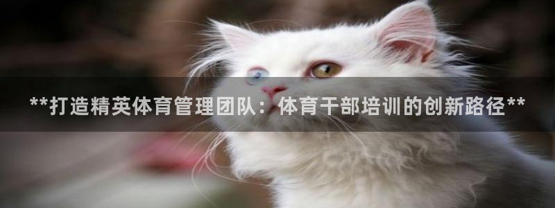欧陆娱乐注册代理多少钱：**打造精英体育管理团队：体