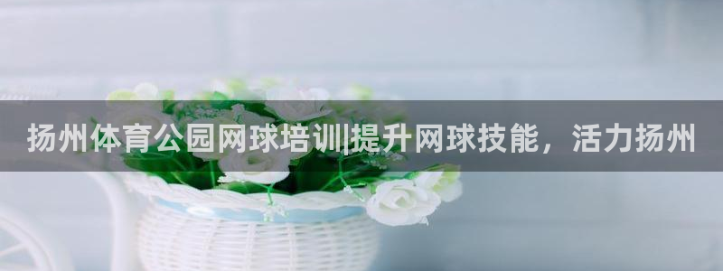 欧陆娱乐注册链接怎么弄出来：扬州体育公园网球培训|提升网球技