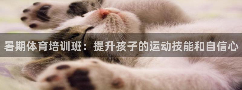 欧陆娱乐怎么注册：暑期体育培训班：提升孩子的运动技能