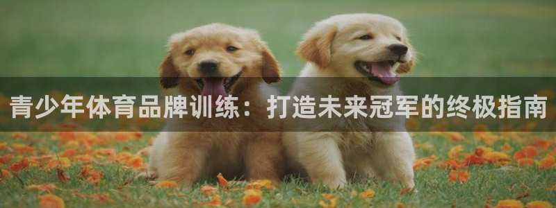 欧陆娱乐是正规平台吗安全吗可靠吗知乎：青少年体育品牌训练：打