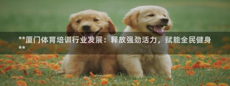 欧陆娱乐信誉吗：**厦门体育培训行业发展：释放强劲活