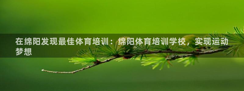 欧陆娱乐平台登录不上怎么办：在绵阳发现最佳体育培训：
