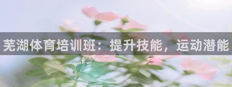 欧陆娱乐平台咋样赚钱快：芜湖体育培训班：提升技能，运
