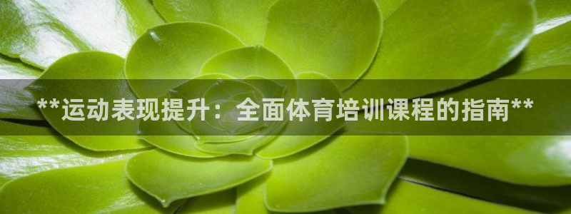 欧陆娱乐中国：**运动表现提升：全面体育培训课程的指